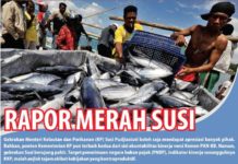 Rapor Merah Susi