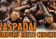 Waspadai Pemburu Rente Cengkeh