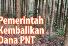 Pemerintah Kembalikan Dana PNT