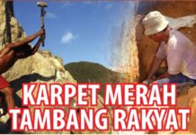 Karpet Merah Tambang Rakyat