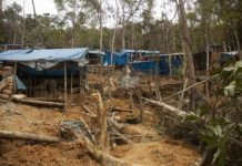 Ditjen Gakkum Kehutanan Gelar Operasi Gabungan Bersama TNI: Penindakan PETI Di Taman Nasional Halimun Salak