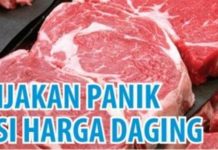 Kebijakan Panik Atasi Harga Daging