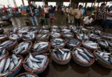 Membangun Natuna Primadona IUUF