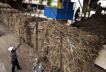 Produksi Gula Kembali Turun