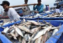 Beleid yang Menyengsarakan, Bukan Mensejahterakan