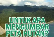 Untuk Apa Mengumbar Peta Hutan?