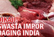 Dikaji, Swasta Impor Daging India