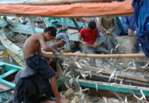 Pro-Kontra Larangan Cantrang