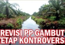 Revisi PP Gambut Tetap Kontroversi