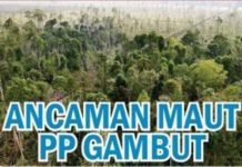 Ancaman Maut PP Gambut