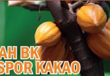 Ubah BK Ekspor Kakao