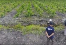 Impor Akhirnya Ditempuh Industri