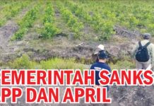 Pemerintah Sanksi APP dan APRIL