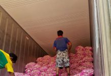 Gelar OP, Perum Bulog Jual Bawang Putih Rp 36.000 Per Kilogram