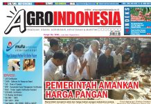 Agro Indonesia, Edisi 637, 2-8 Mei 2017