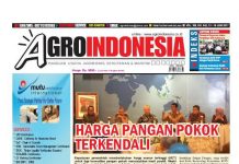 Agro Indonesia No 642, 13- 19 Juni 2017