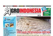 Agro Indonesia No 643, 20-26 Juni 2017