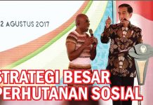 Strategi Besar Perhutanan Sosial