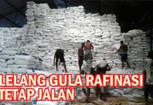Lelang Gula Rafinasi Tetap Jalan