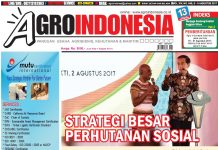 AgroIndonesia, No. 649 (8 Agustus-14 Agustus)