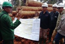 Pembalakan Ramah Lingkungan Tingkatkan Efisiensi HPH