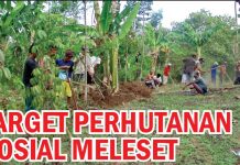 Target Perhutanan Sosial Meleset