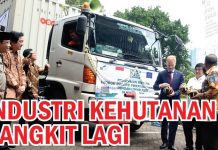 Industri Kehutanan Bangkit Lagi