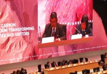 Menteri Siti Nurbaya Pertegas Komitmen Indonesia untuk Persetujuan Paris