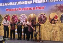Buka Rakornas Pertanian, Menteri Amran Klaim Prestasi Tak Impor Beras