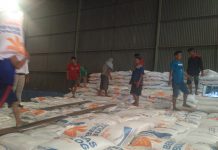 Tingkatkan Serapan, Perum Bulog Gandeng Kementan dan TNI