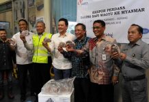 Indonesia Ekspor Daging Sapi Wagyu ke Myanmar