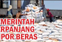 Pemerintah Perpanjang Impor Beras