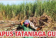 Hapus Tataniaga Gula
