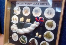 Sebanyak 95% Benang Sutera Diimpor, Ini Solusi KLHK