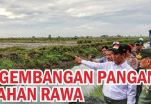 Pengembangan Pangan di Lahan Rawa