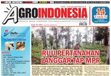 AgroIndonesia, Edisi No. 704 (20-26 November 2018)