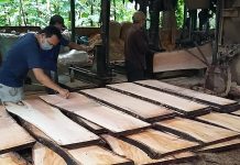 Industri Kayu Terancam Relaksasi DNI