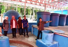 KLHK Bangun Fasilitas Pengolah Limbah Biomassa Jadi Energi