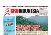 AgroIndonesia Edisi No. 753 (4-10 Februari 2020)
