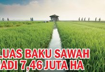 Luas Baku Sawah Jadi 7,46 Juta Ha