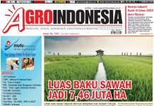 AgroIndonesia, Edisi No. 754 (11-17 Februari 2020)