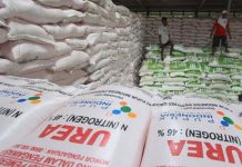 Bantah Isu Kelangkaan, Kementan: Pupuk 2020 Cukup