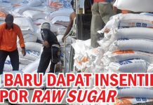 Insentif Impor Raw Sugar buat PG Baru