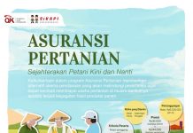 Asuransi Pertanian Tekan Kerugian Petani