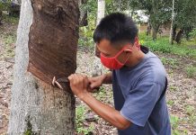 Kemendag Terbitkan Aturan Baru Perkuat Tata Kelola Ekspor Karet Alam Spesifikasi Teknis