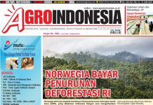 AgroIndonesia, Edisi No. 768 (16-22 Juni 2020)