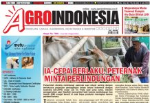 AgroIndonesia, Edisi No. 770 (30 Juni-6 Juli 2020)