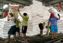 Mentan: Pupuk Subsidi Hanya Tersedia di Pengecer Resmi