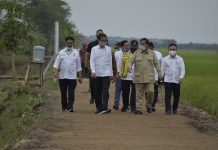 KTNA: Food Estate Suatu Keniscayaan