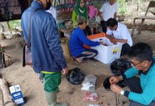 Kementan Intensifkan Irigasi Kabut, Apa Itu?